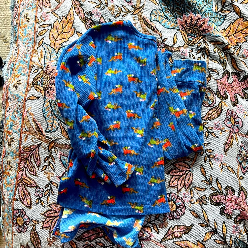 Aerie thermal pjs wiener dog print